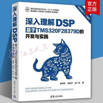 深入理解DSP 基于TMS320F28379D的开发与实践 徐奇伟 徐佳宁 赵一舟 著 详细描述了控制域和通信域中中常用的外设和接口书籍 正版