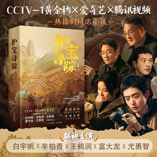 白宇帆辛柏青王鹤润富大龙尤勇智联袂主演 同名考古与文物保护题材电视剧播出 小说实体书 全2册 护宝寻踪