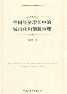中国经济增长中 经济书籍 城市化和创新地理岳清唐
