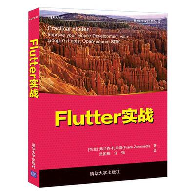 Flutter实战弗兰克·扎米蒂  工业技术书籍