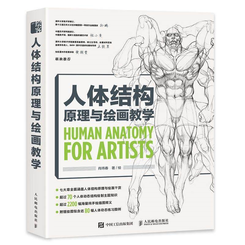 人体结构原理与绘画教学肖玮春普通大众人体结构漫画绘画技法艺术书籍