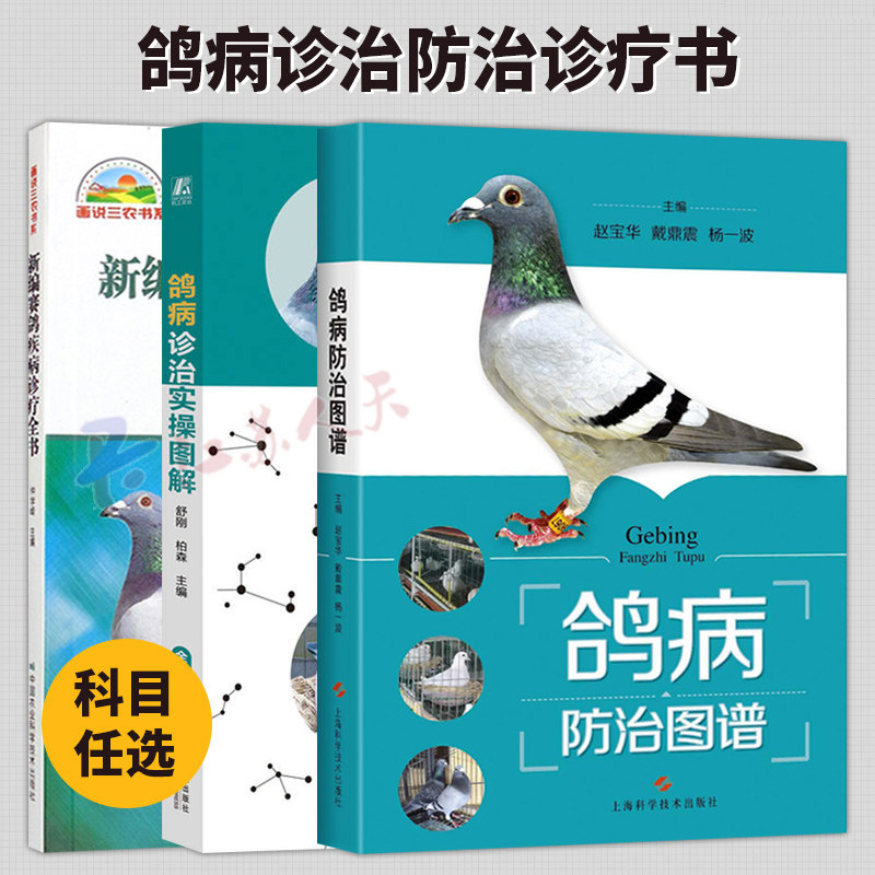 3册 鸽病诊治实操图解+鸽病防治图谱+新编赛鸽疾病诊疗全书 鸽子科学饲养技术书 鸽子养殖技术书大全 鸽子药大全常见病调理 养鸽
