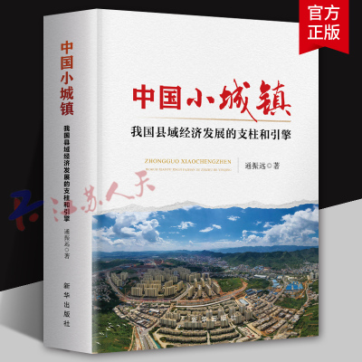中国小城镇 我国县域经济发展的支柱和引擎 通振远著 新华出版社9787516673843
