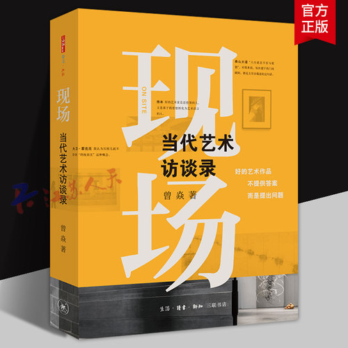 现场 当代艺术访谈录 一部具有艺术史视野的访谈录 曾焱著 三联书店9787108067364 书籍正版
