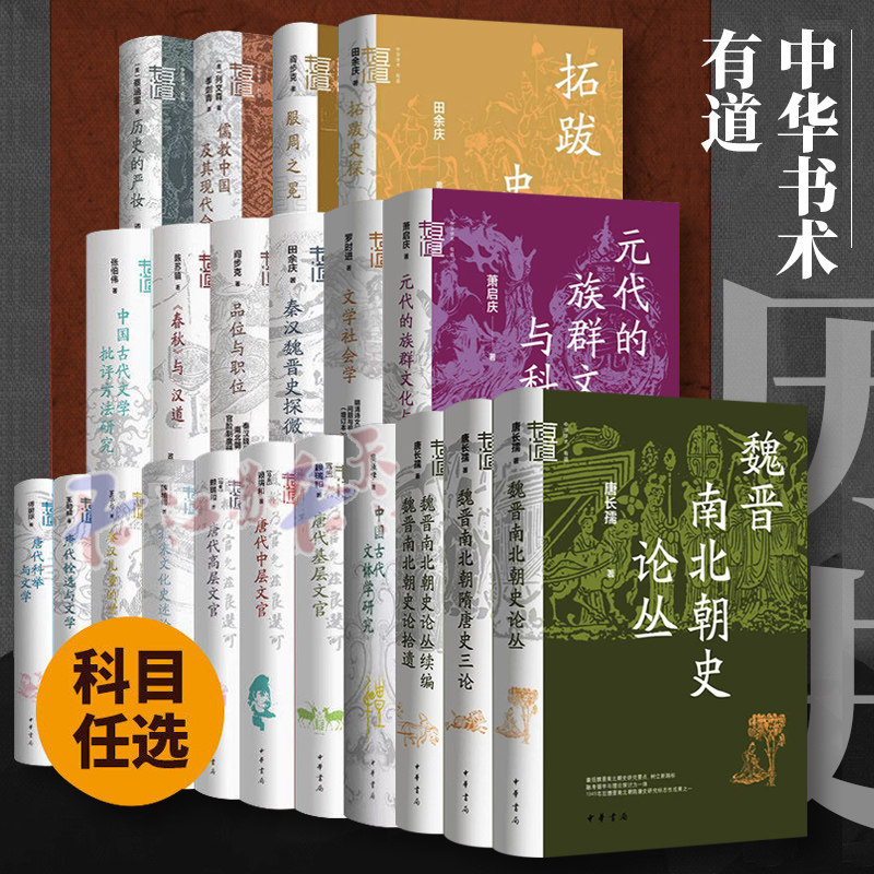 中华学术有道系列31种 从混沌到秩序 元代的族群文化与科举 八代诗史 玄学与魏晋士人心态 魏晋南北朝隋唐史三论 论丛 续编