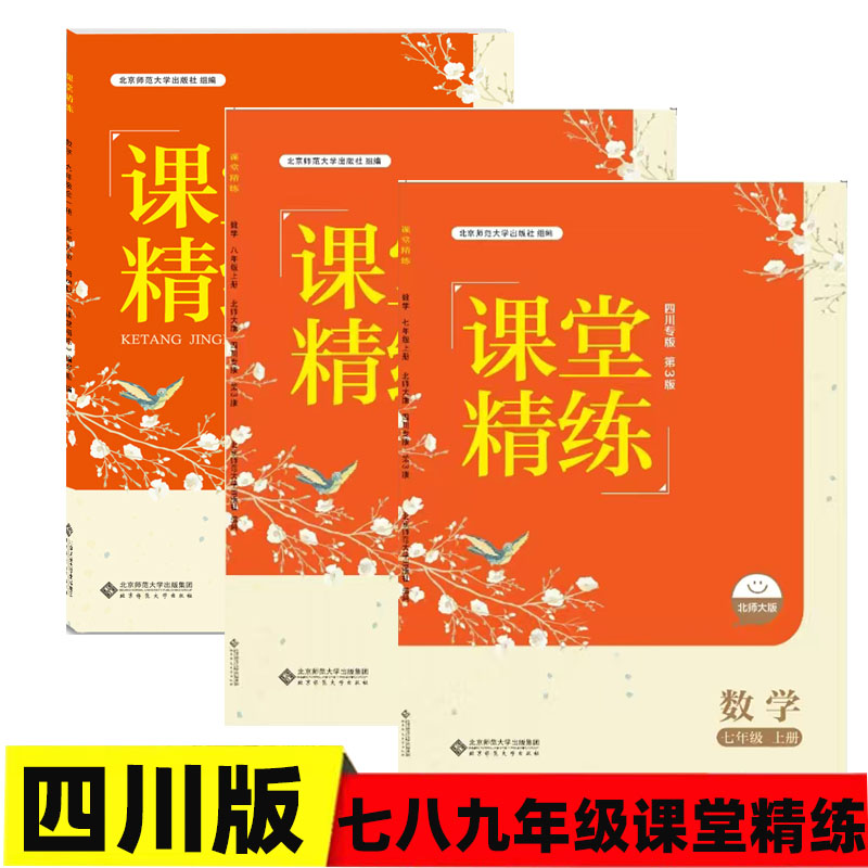课堂精练数学北师大版BSD