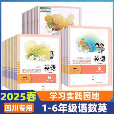 小学生学习实践园地同步