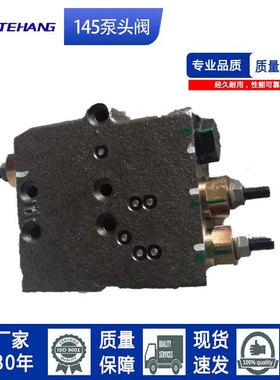 FTH 145LE2S 190DU2泵头阀 厂家i现货 全 新