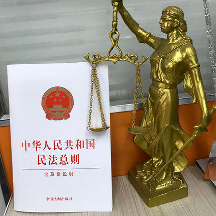 中华人民共和国民法总则(含草案说明)