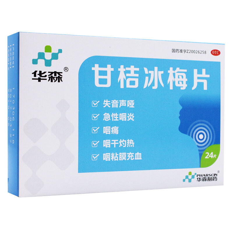 华森甘桔冰梅片 柑橘冰梅片24片