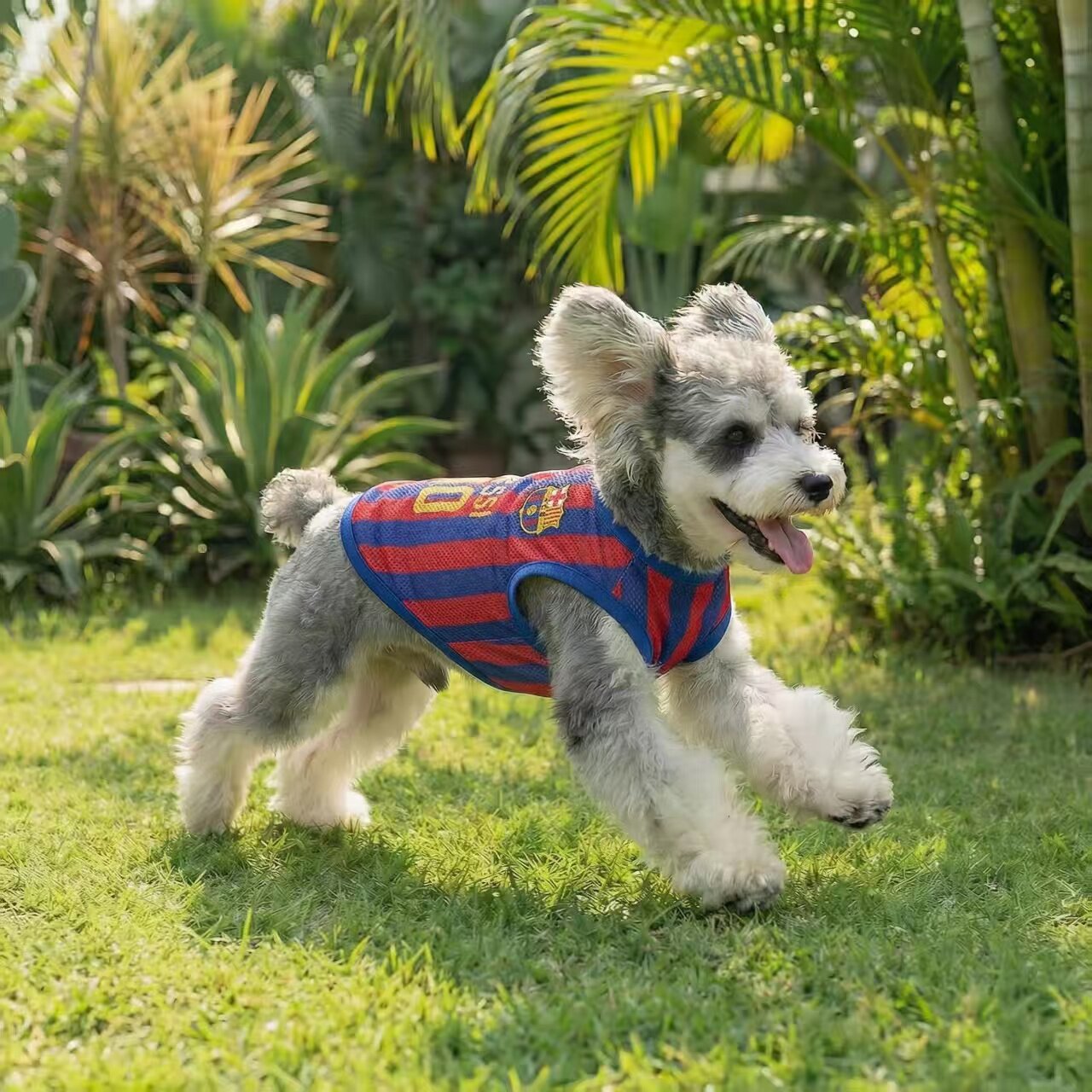 可牵引夏季薄款网眼宠物球服巴哥法斗猫咪狗狗衣服泰迪比熊背心