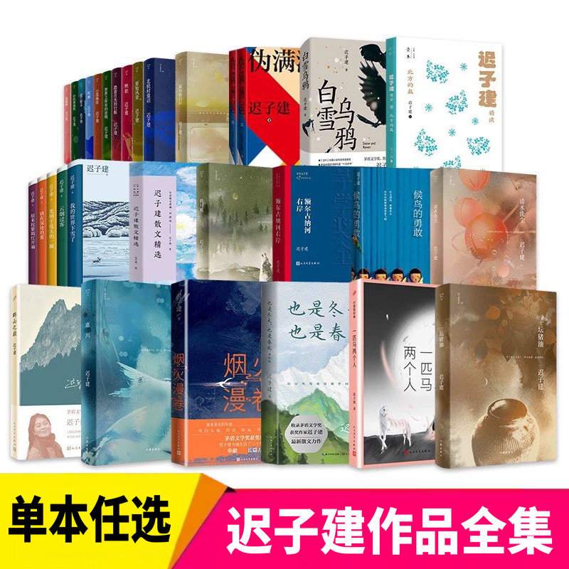 【单本/套装任选】 迟子建作品全集散文小说合集精选额尔古纳河右岸北极村童话伪满洲国也是冬天也是春天图片