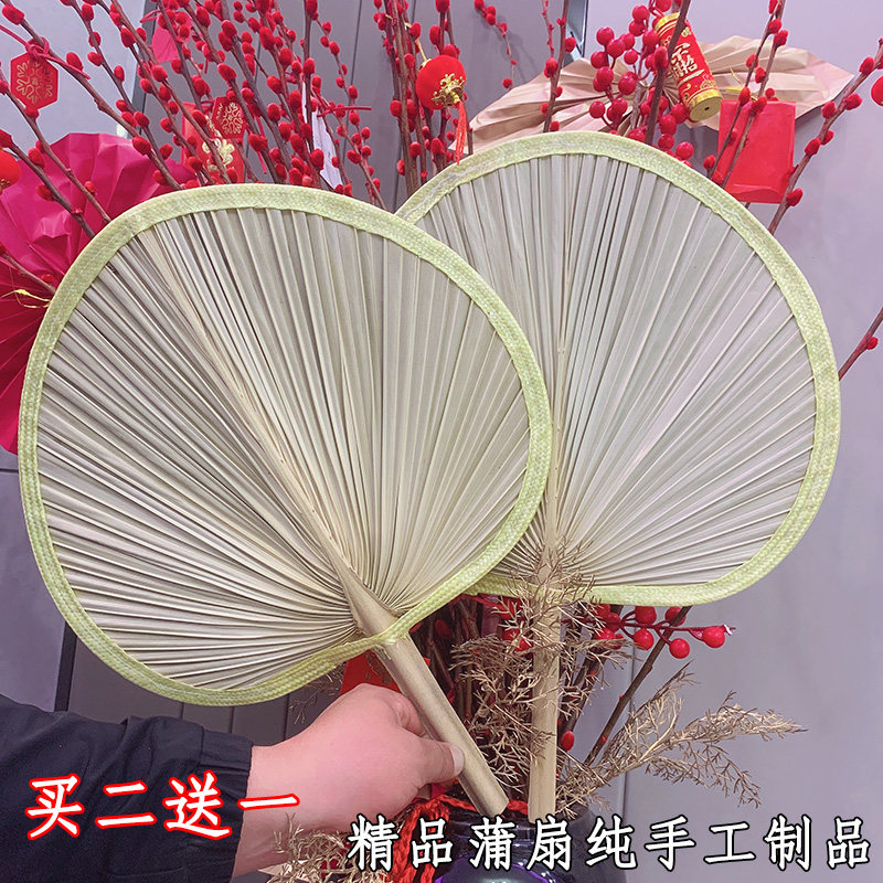 扇子夏天蒲扇葵扇济公蒲草绘画图片