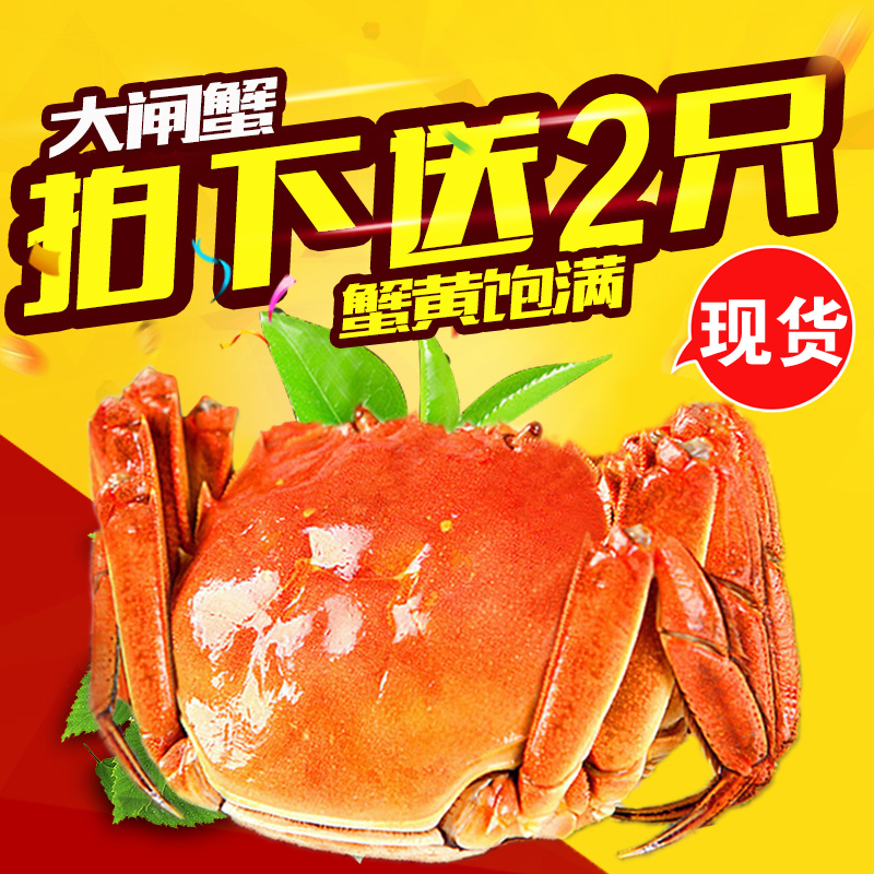 Á½Ö»ºÐ×°