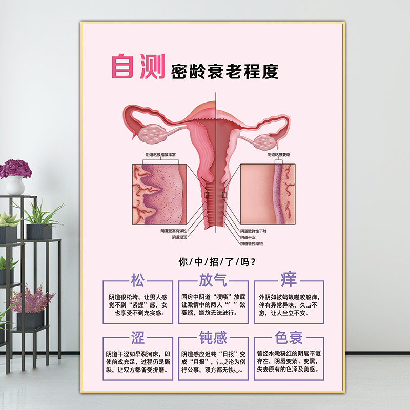 私密海报修复挂画妇科保养装饰画衰老自测广告图女性私密宣传图片