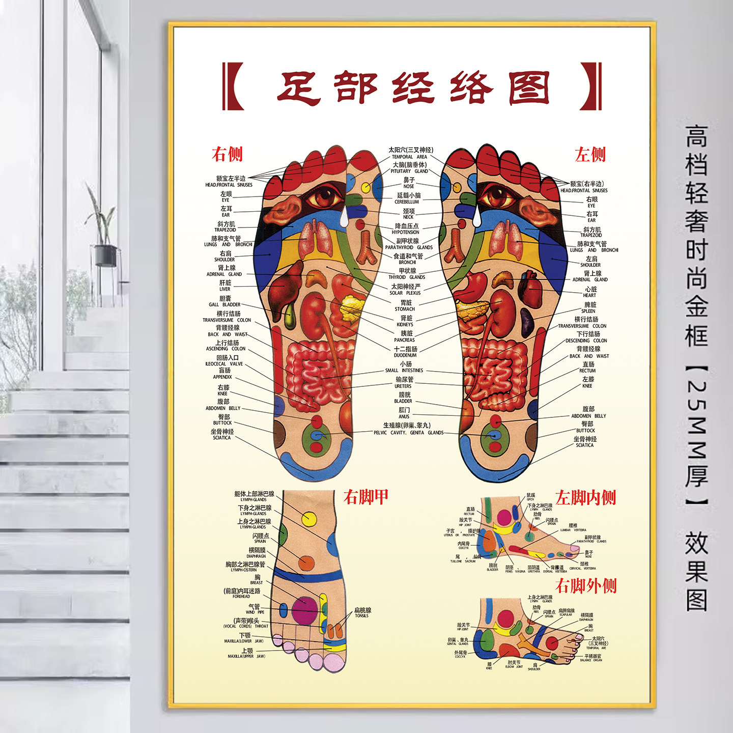足部穴位图修脚广告图泡脚图脚病海报足部反射区挂图足疗店装饰画