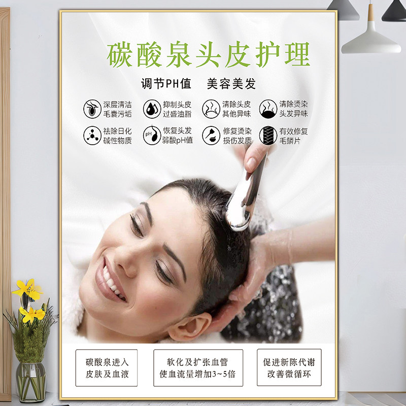 碳酸泉头皮护理海报中药洗头壁画头皮保养广告挂画头疗图片宣传画