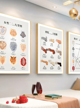 女性私密九型图男女房间装饰画外阴广告生殖图片艺术挂画私密海报