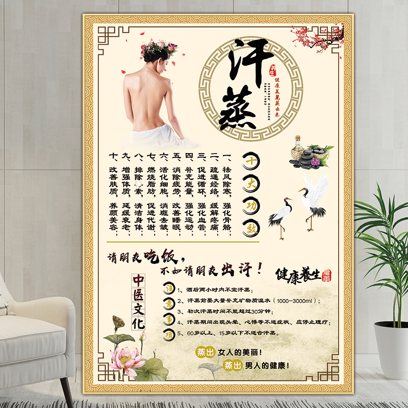 汗蒸海报太空舱广告图盐疗图片