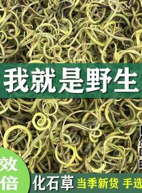 长白山纯野生肾精茶化石草黄金草东北嗷嗷叫野生肾精草