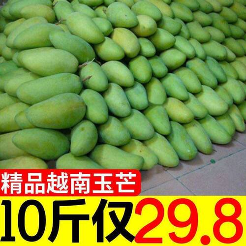 金辉芒果多少钱 金辉芒果价格 小麦优选