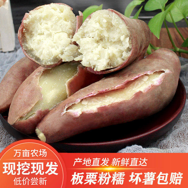 【现挖现发】新鲜板栗薯爆皮王番薯粉香糥地瓜红薯白心板栗子薯