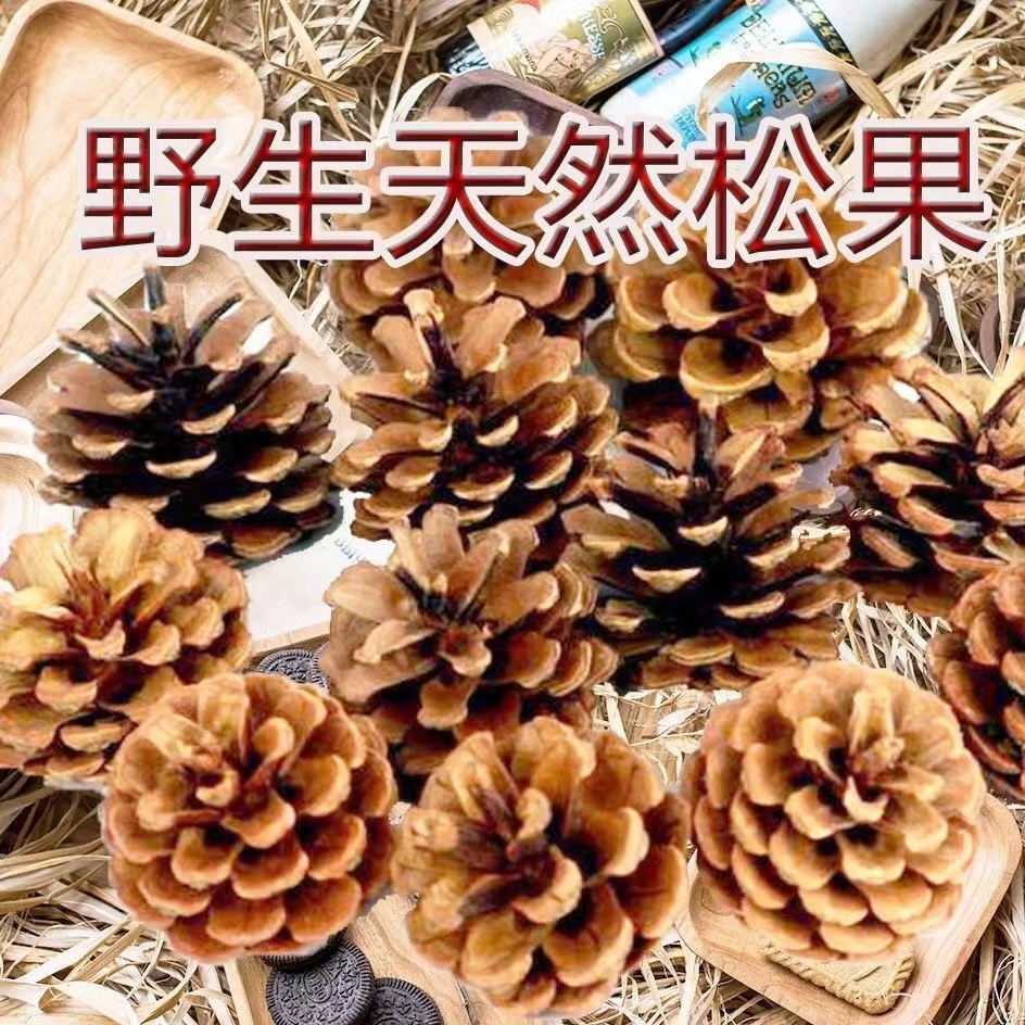 手工diy松果装饰创意摆件