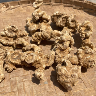 百年一遇老山参纯真天王参