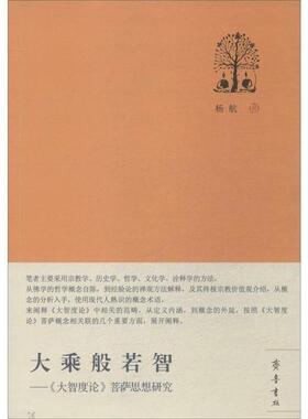 【正版】大乘般若智 《大智度论》菩萨思想研究 杨航