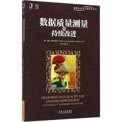 【正版】数据质量测量的持续改进 [美]劳拉·塞巴斯蒂