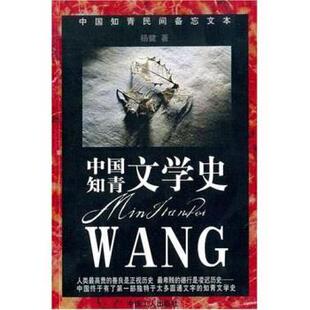 【正版】中国知青文学史 杨健