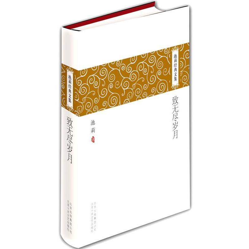 【正版】致无尽岁月 池莉