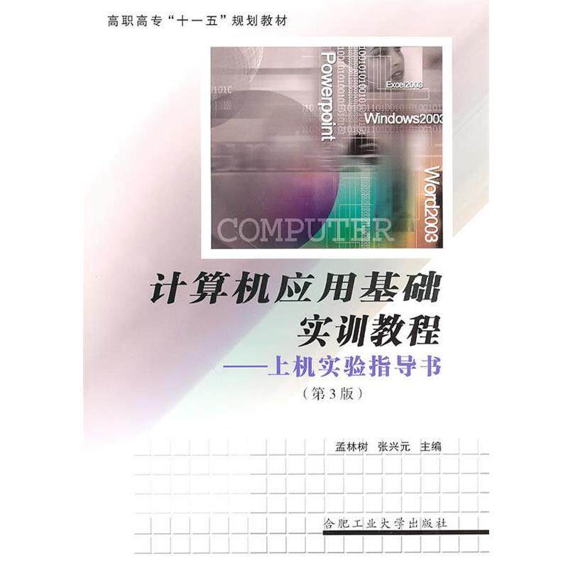 【正版】计算机应用基础实训教程 上机实验指导书 张兴元 孟林树