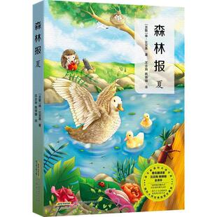 【正版书】 森林报·夏 (苏)比安基,张荣梅策划,小童书馆出品 安徽教育出版社