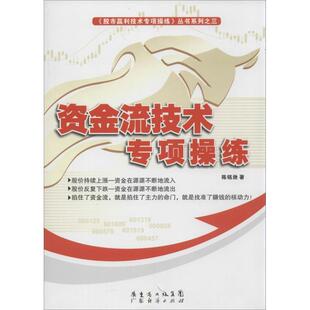 【正版书】 资金流技术专项操练 陈铭逊 著 广东经济出版社有限公司