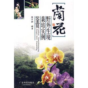 【正版书】 兰花野外生境栽培实例鉴赏 陈宇勒 广东科技出版社
