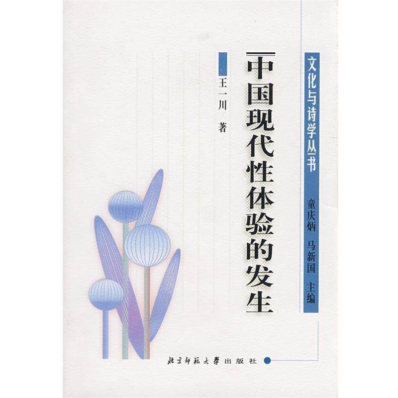 【正版】中国现代性体验的发生 清末民初文化转型与文学 王一川