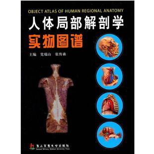 【正版书】 人体局部解剖学实物图谱 党瑞山,张传森 主编 上海第二军医大学出版社