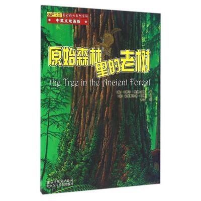 【正版书】 原始森林里的老树 (美)卡萝尔·里德-琼斯,译者:李京,绘画:(美)克里... 北京少年儿童出版社