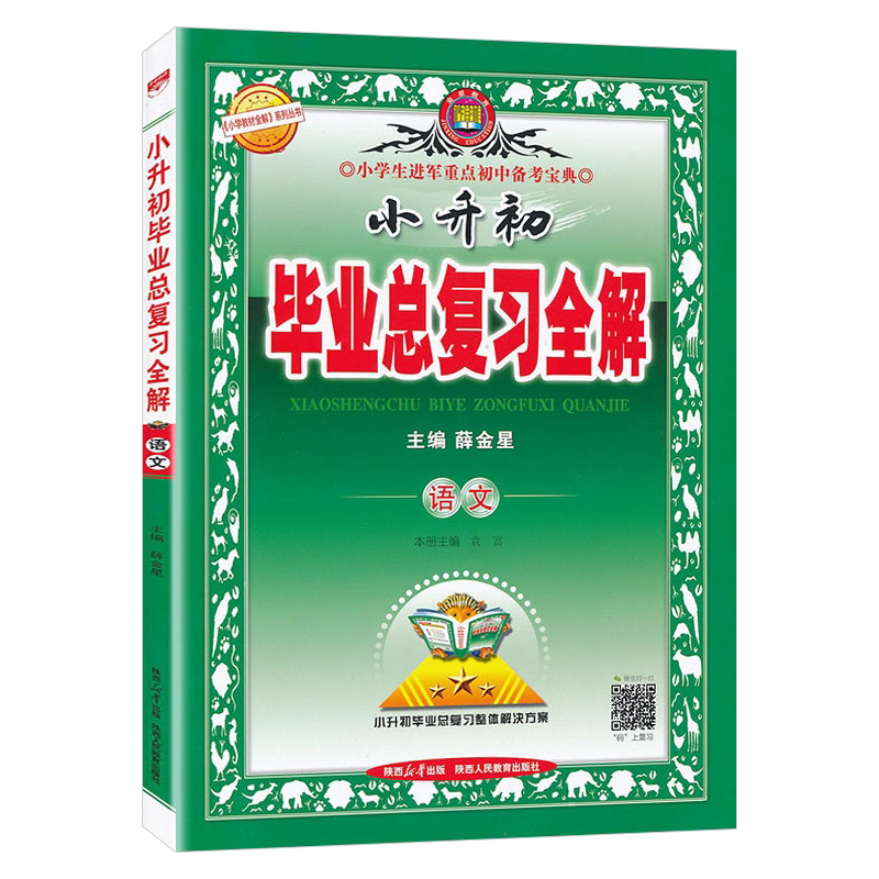 小升初毕业总复习全解语文