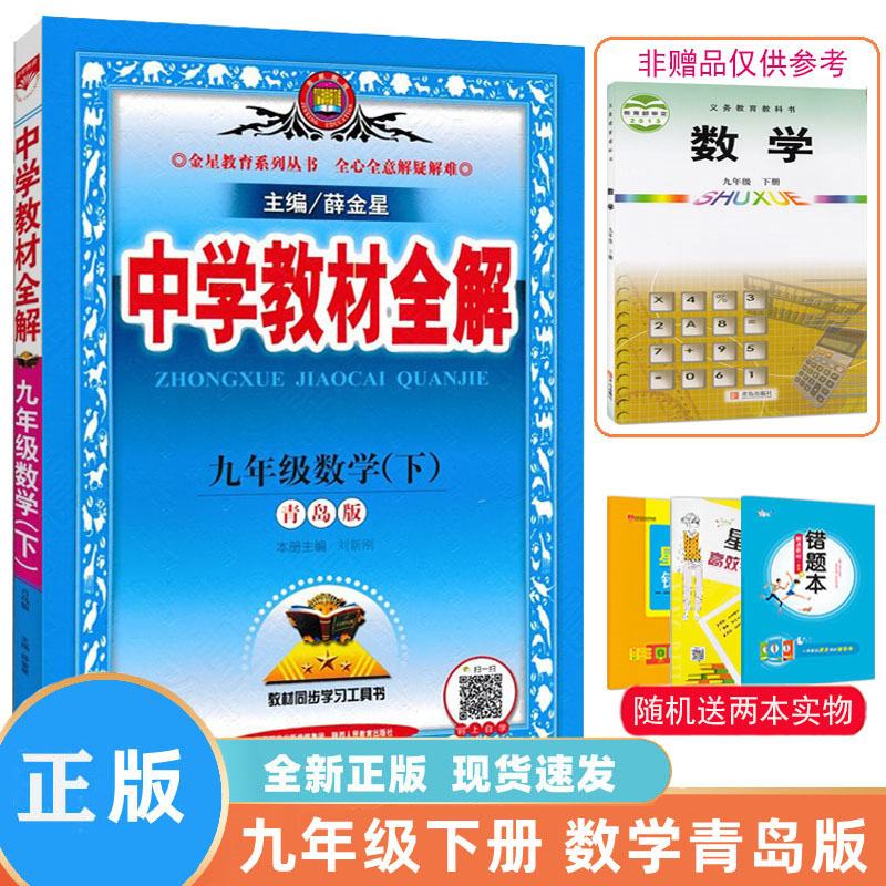 2025新教材全解九年级下数学63