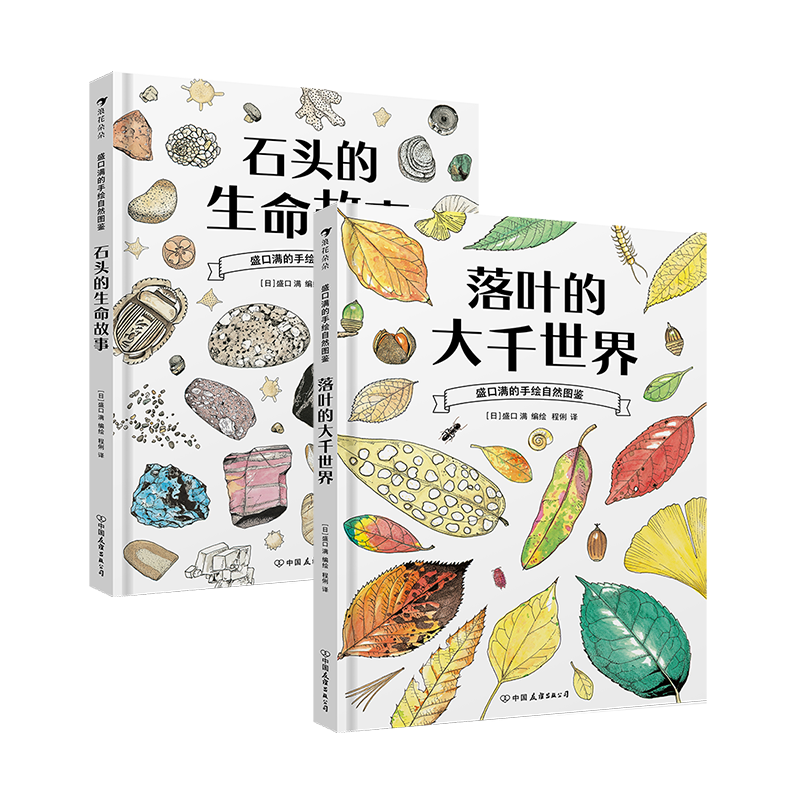 盛口满的手绘自然图鉴落叶+石头