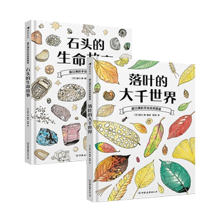 【现货】【盛口满的手绘自然图鉴新书2册套装】石头的生命故事+落叶的大千世界 7-10岁科普百科绘本 手绘石头落叶植物  后浪童书