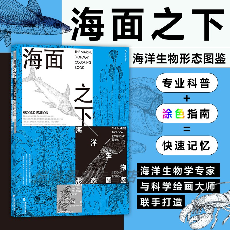 【现货】海面之下：海洋生物形态图鉴 海洋环境保护 涂色指南快速记忆 科学科普图鉴 后浪正版