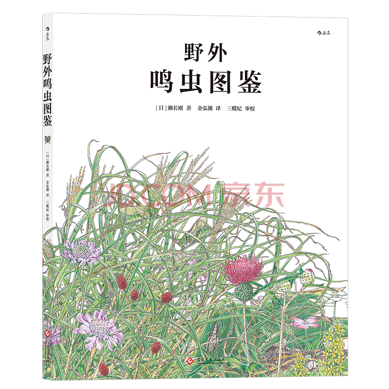 官方正版
