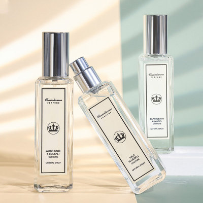 SageltBluWindbLsoPerf