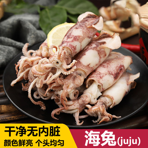 新鲜海兔子juju500g鲜活笔管鱼墨鱼仔不带籽温州特产海鲜水产品