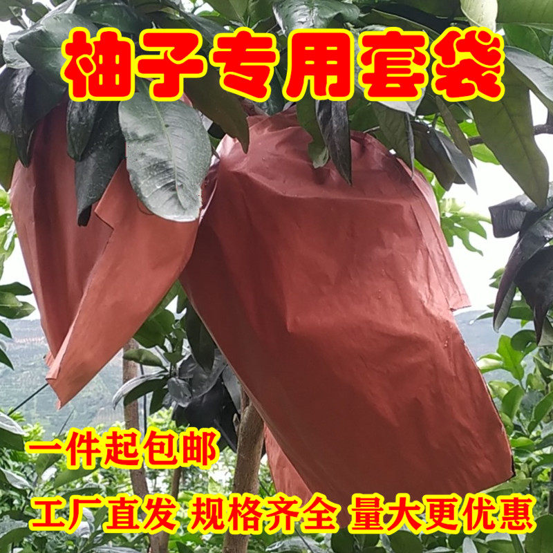 加厚特大号果园育果专用柚子套袋红色早熟三红柚双层葡萄防虫纸袋