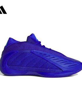 adidas阿迪达斯官方运动2026夏中性篮球鞋 JQ9501