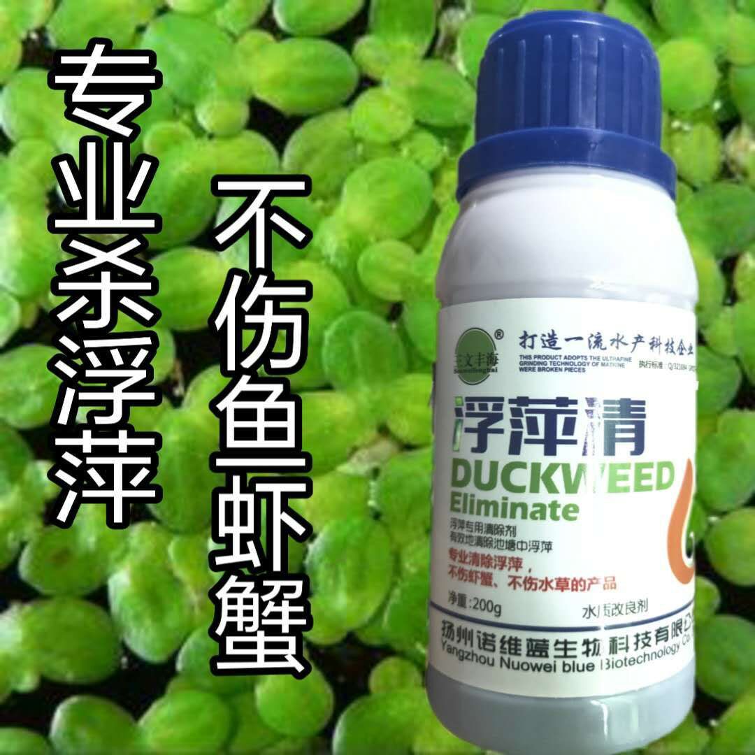 浮萍清浮萍净浮萍一扫光不伤鱼虾蟹专业杀灭池塘蛙塘浮萍安全高效
